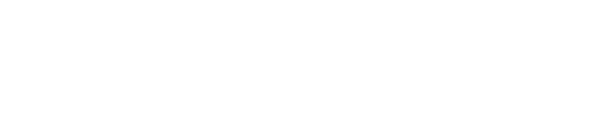 Logo Evandro Carlos Nicolini