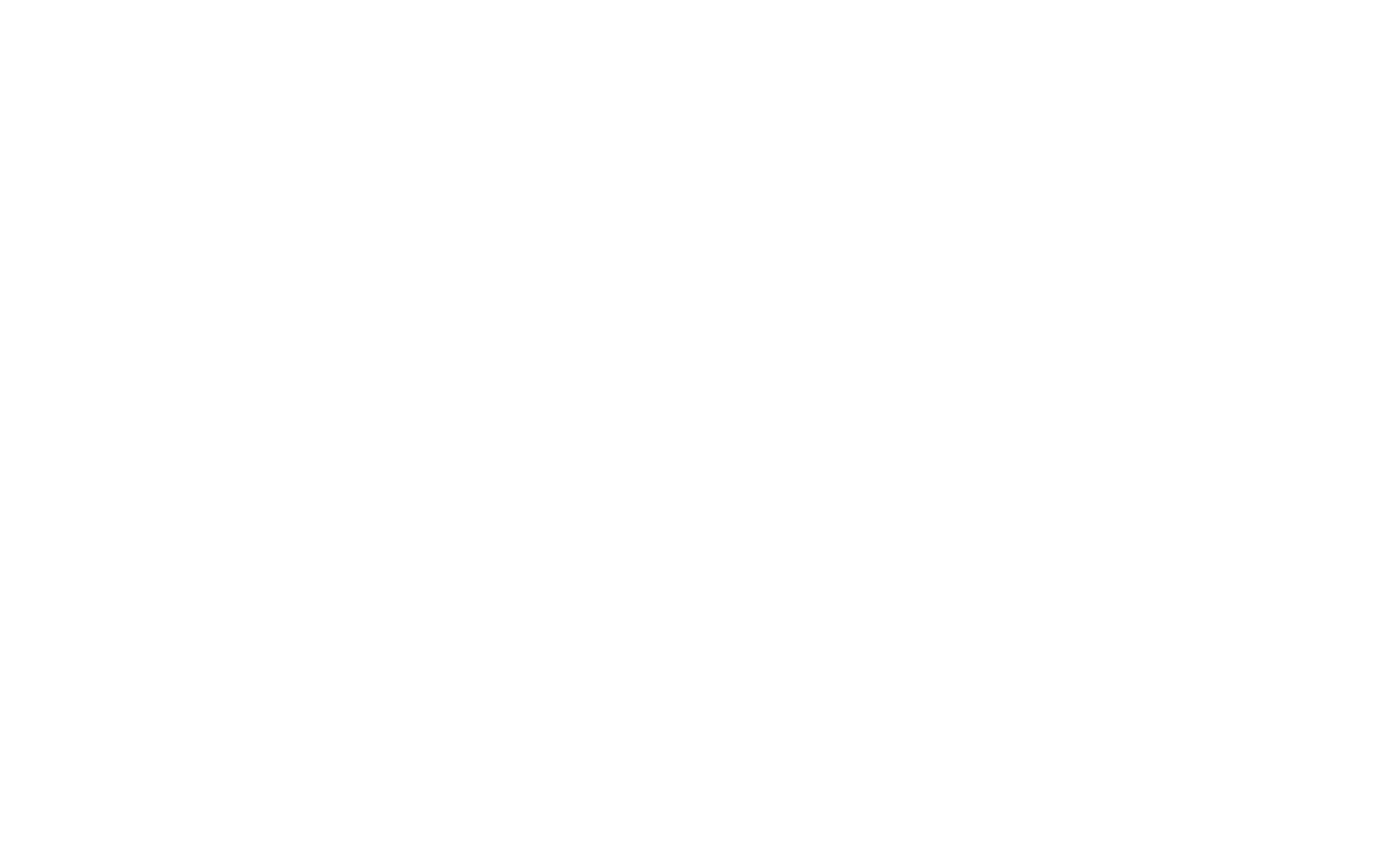 Logo Evandro Carlos Nicolini